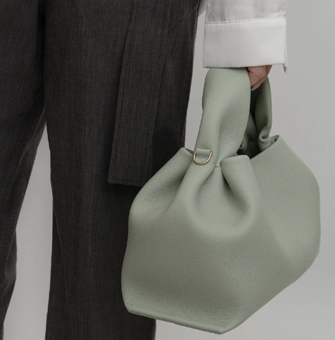 Versatile Poche Dumpling Bag